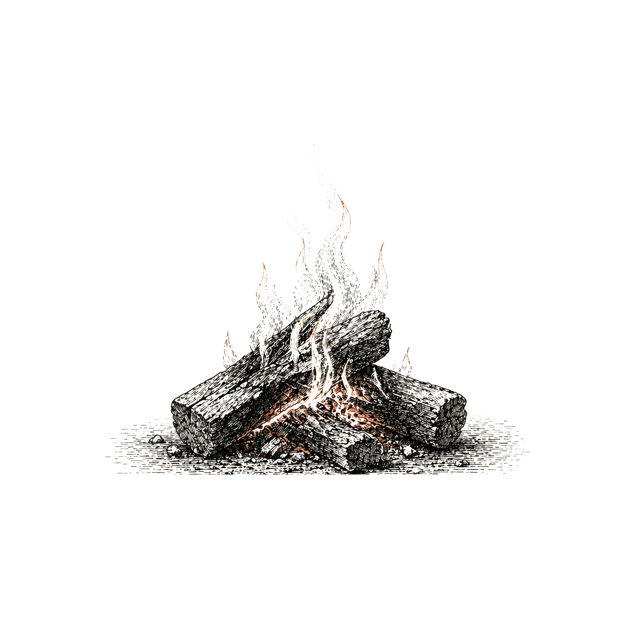 Fire &ndash; burning campfire, symbol of the story that burns in the room
